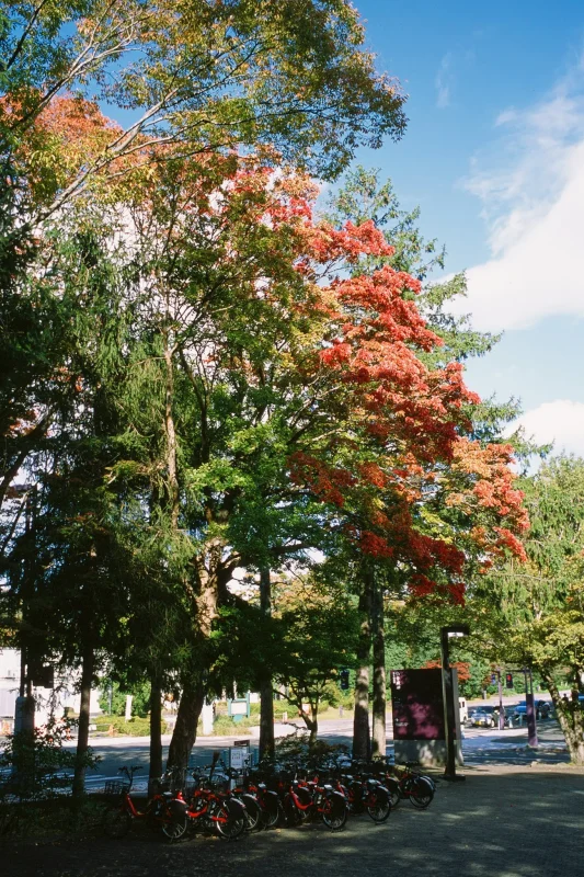 これが噂の広瀬川！と仙台一の牛たんを食す / 仙台・松島旅行2025