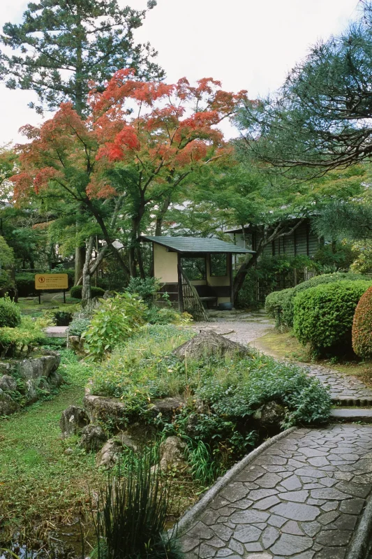 輪王寺、人が少なくて雰囲気最高！ / 仙台・松島旅行2025