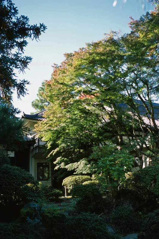 輪王寺、人が少なくて雰囲気最高！ / 仙台・松島旅行2025