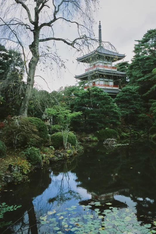輪王寺、人が少なくて雰囲気最高！ / 仙台・松島旅行2025