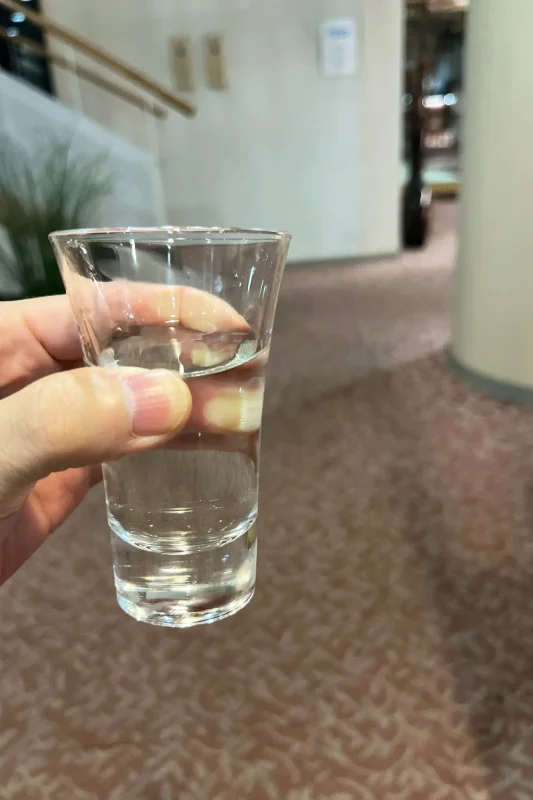 雲静庵、松島の激ヤバ旅館に宿泊したぞ! / 仙台・松島旅行2025