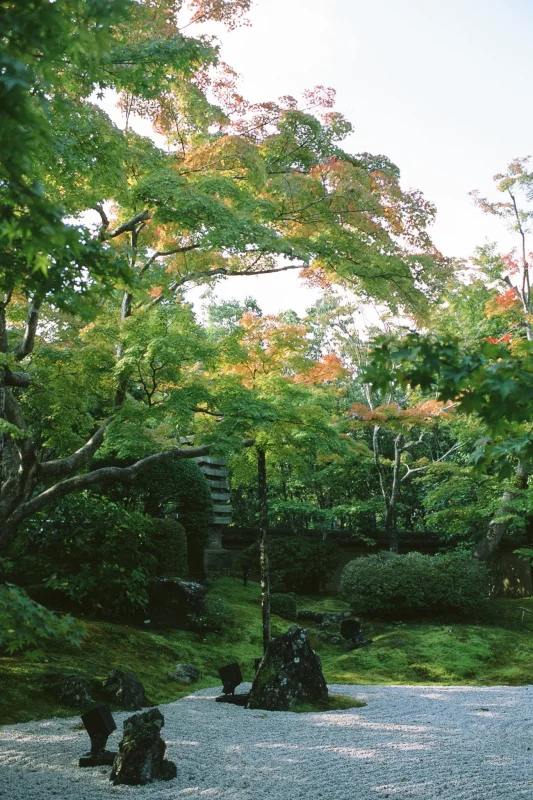 円通院、紅葉の名所もまだ早かった! / 仙台・松島旅行2025