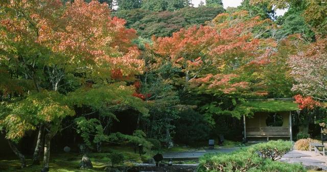 円通院、紅葉の名所もまだ早かった！ / 仙台・松島旅行2025