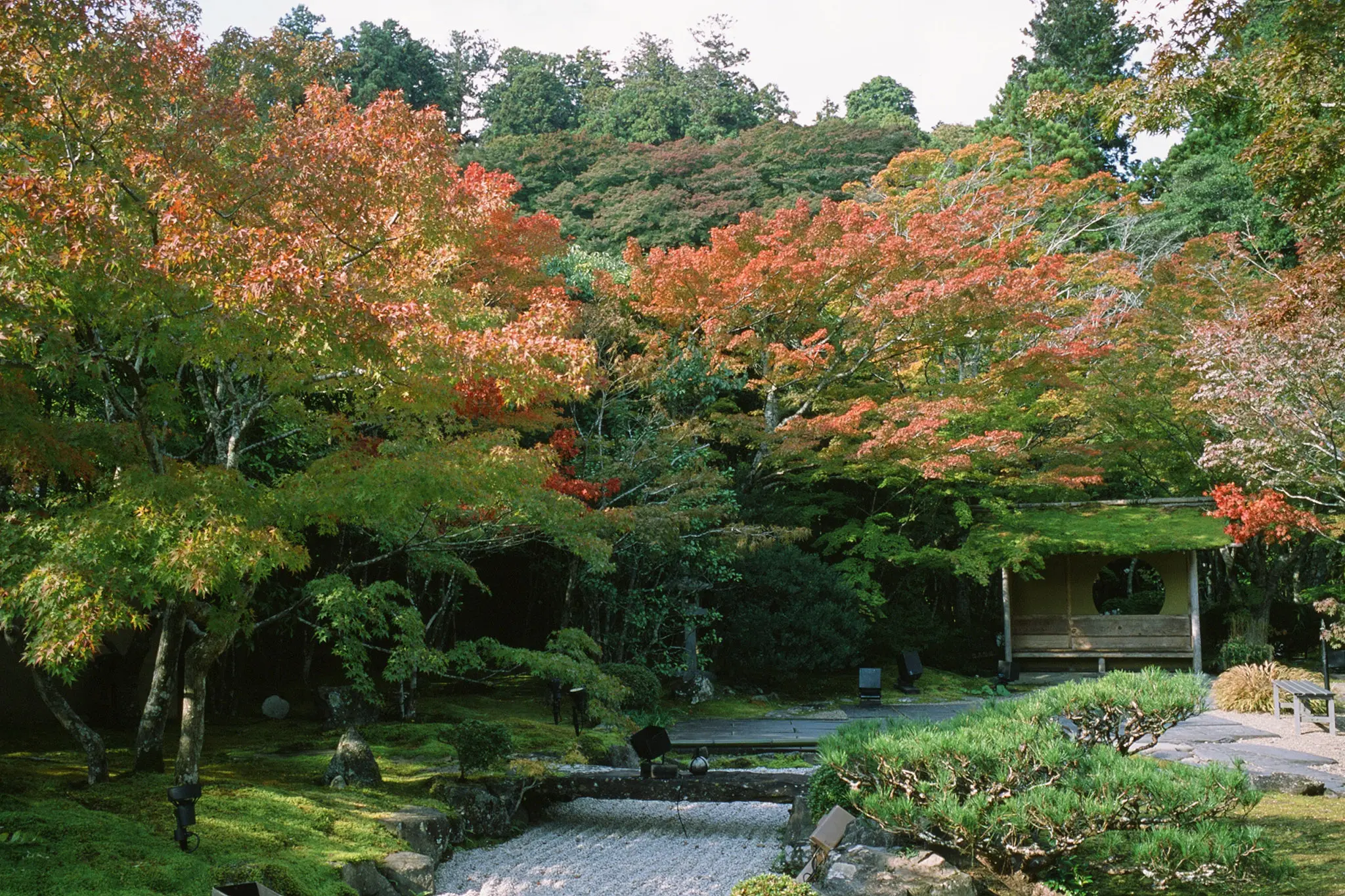 円通院、紅葉の名所もまだ早かった! / 仙台・松島旅行2025
