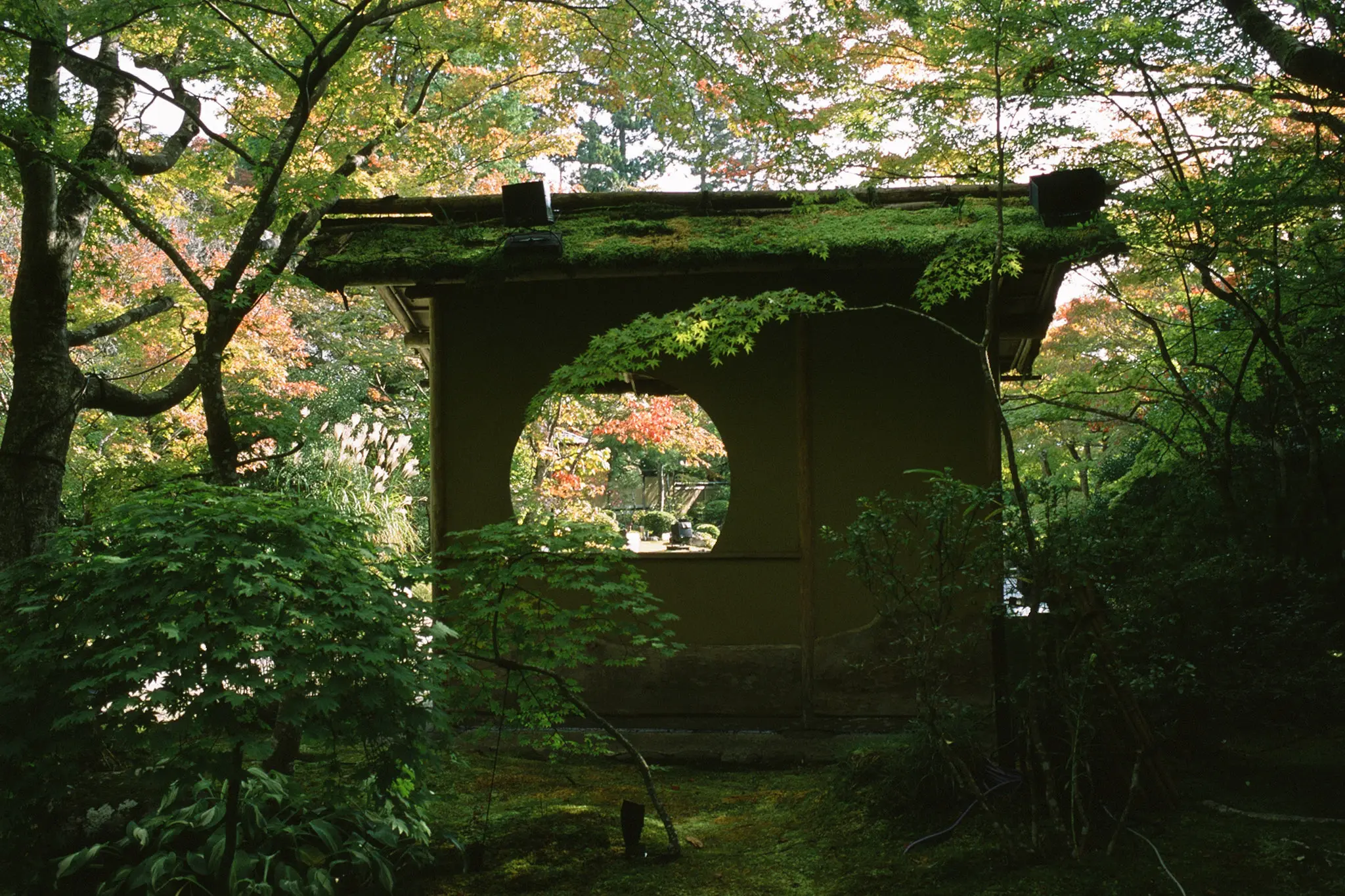 円通院、紅葉の名所もまだ早かった! / 仙台・松島旅行2025