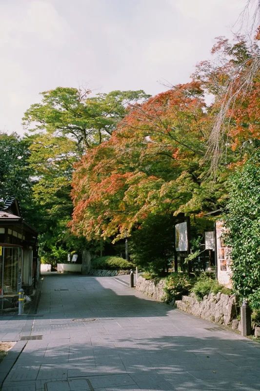 円通院、紅葉の名所もまだ早かった! / 仙台・松島旅行2025