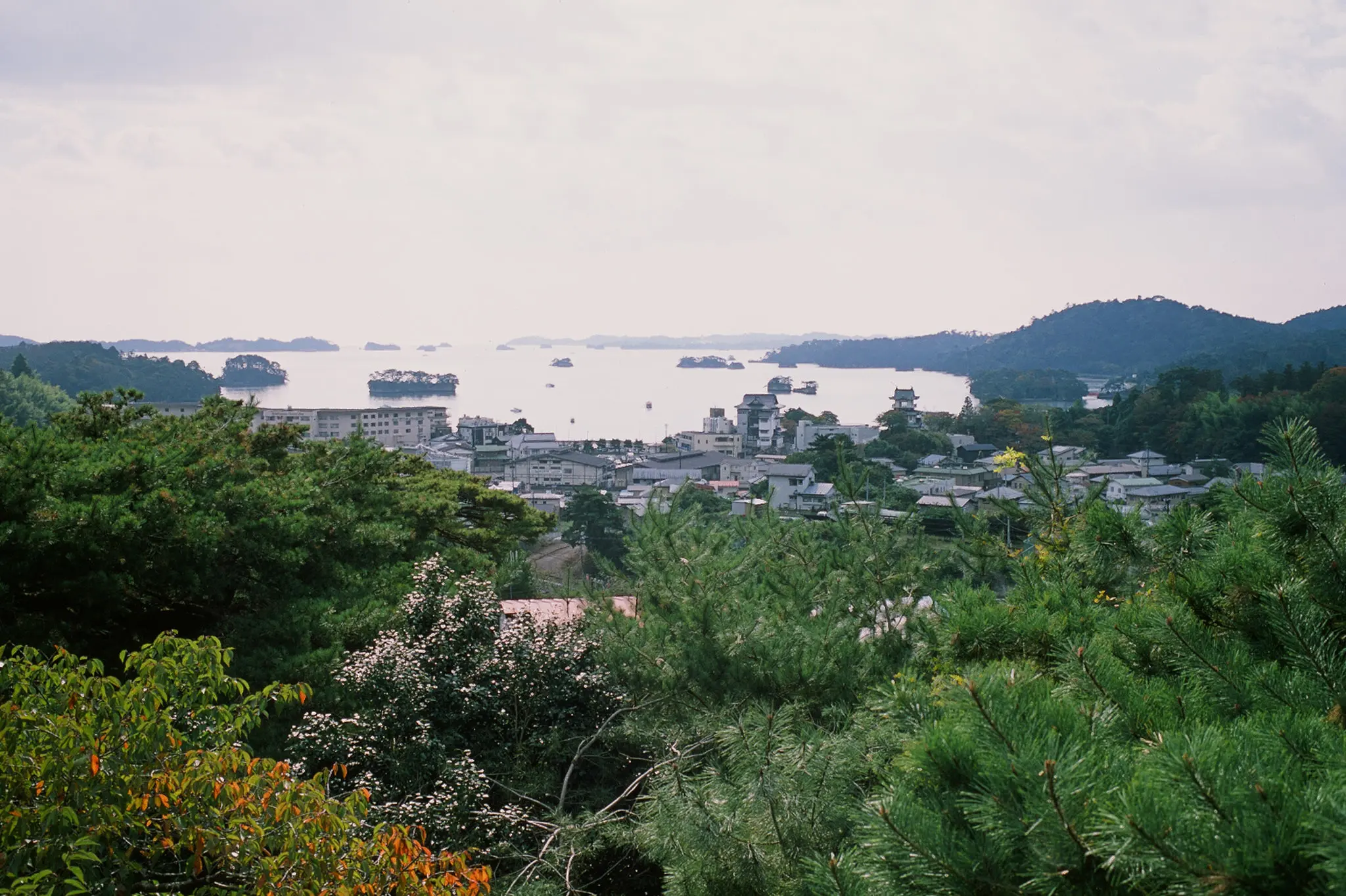 フィナーレ!膝の痛みに耐えきれず散策中止 / 仙台・松島旅行2025