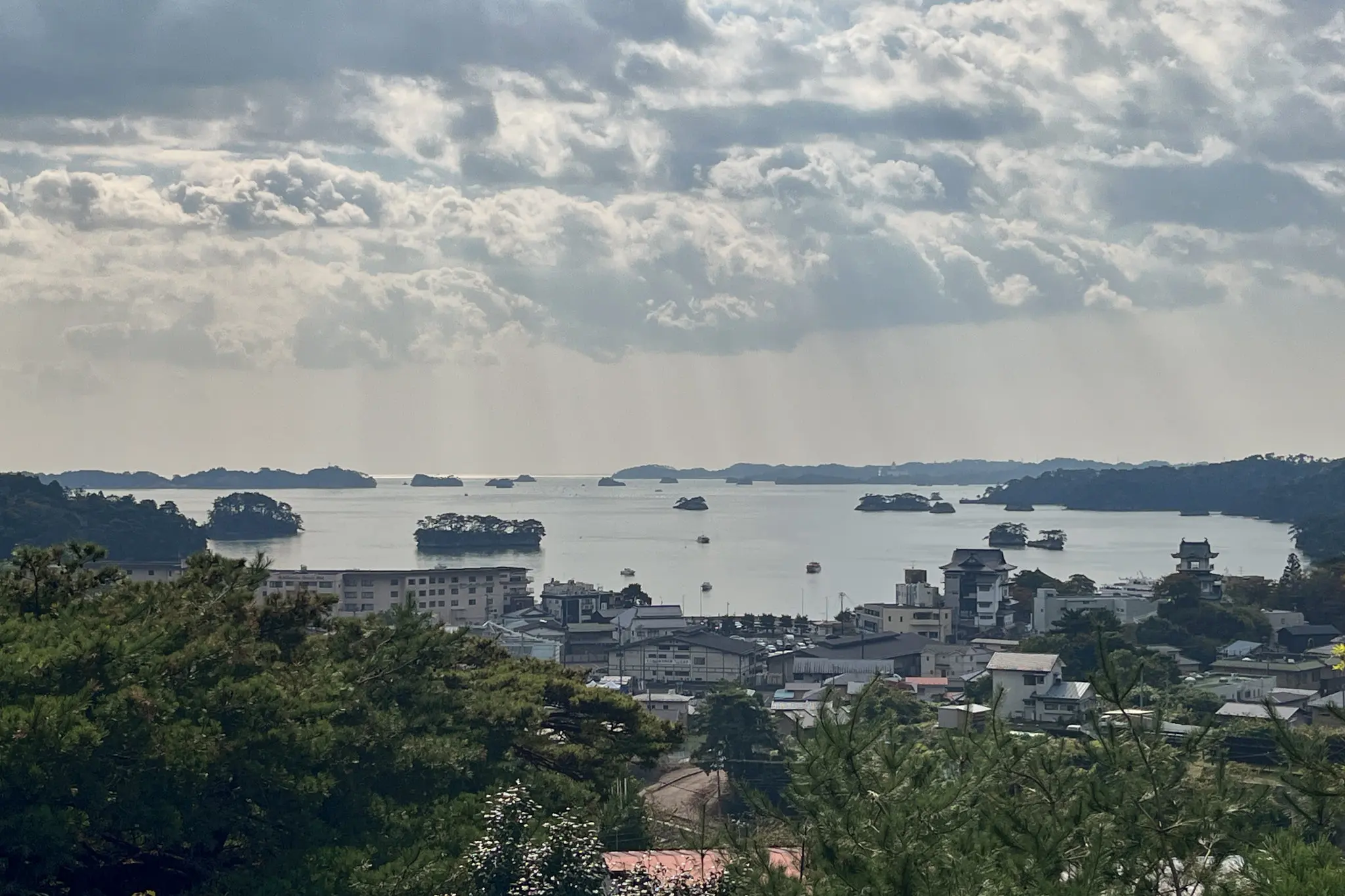 フィナーレ!膝の痛みに耐えきれず散策中止 / 仙台・松島旅行2025