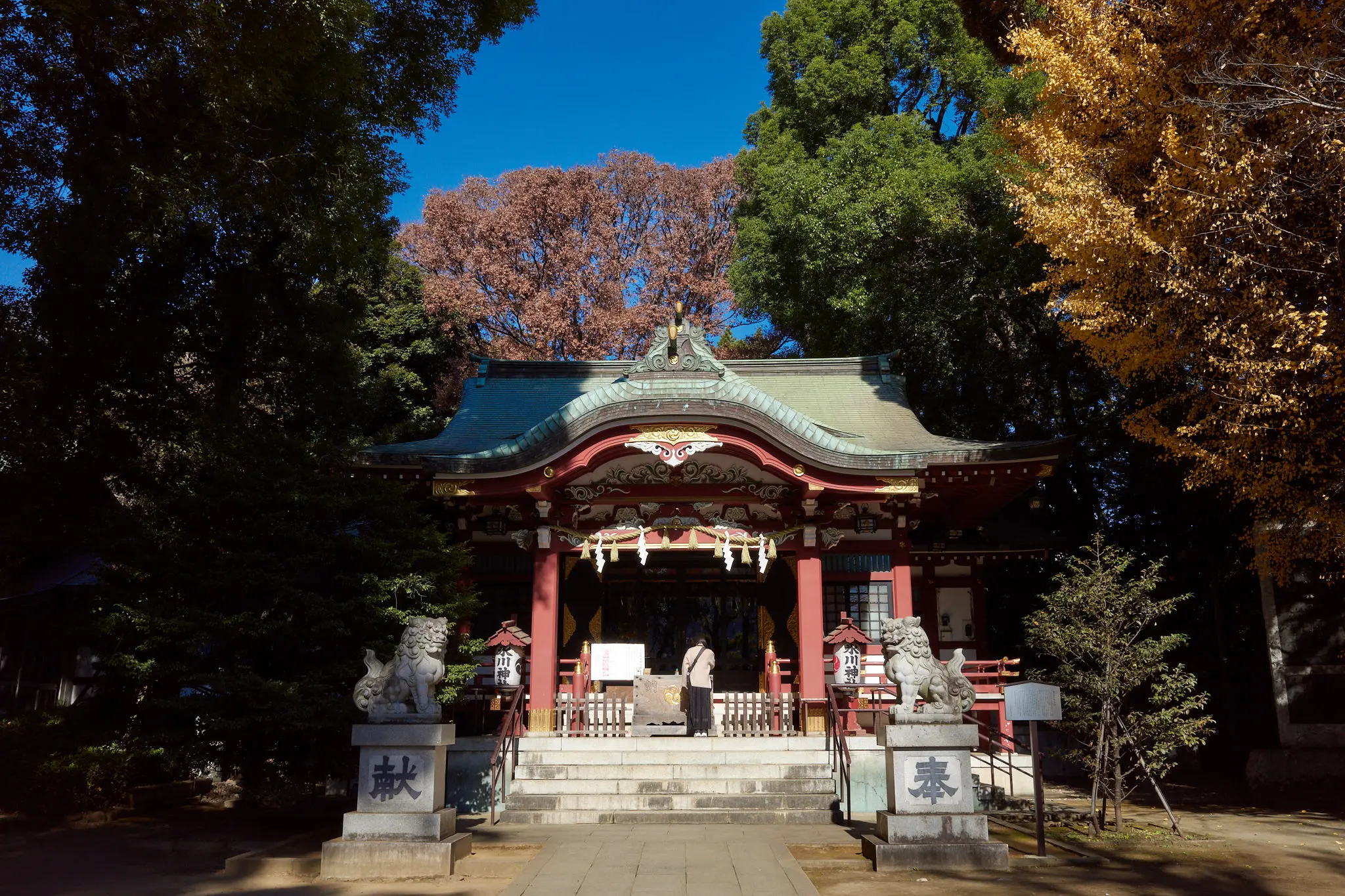 中野氷川神社も新宿中央公園もイチョウがキレイ!