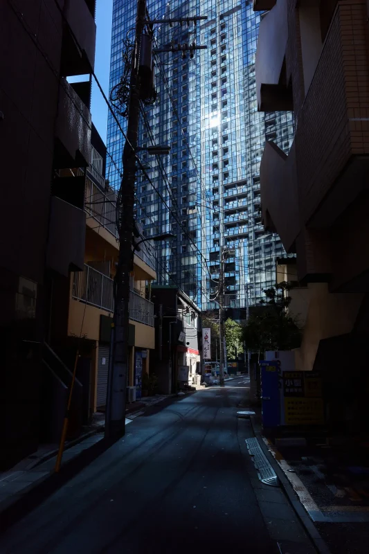 中野氷川神社も新宿中央公園もイチョウがキレイ!