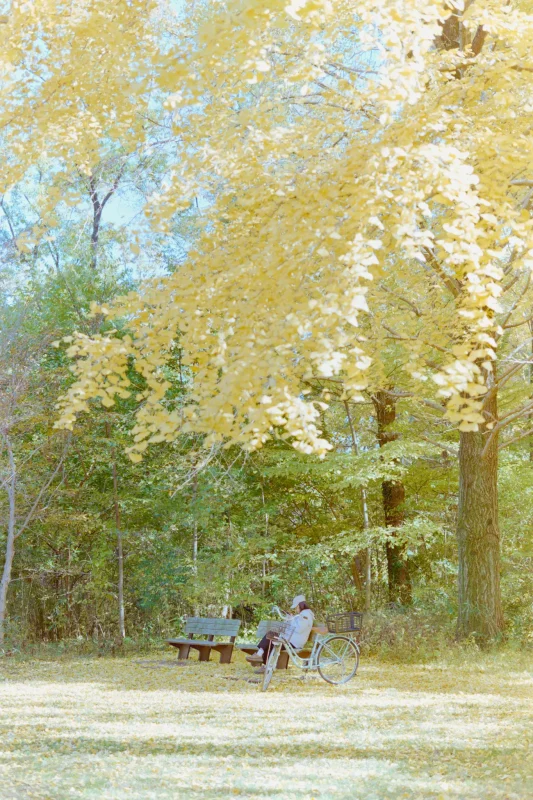 武蔵野の森公園と野川公園で秋を楽しんできました
