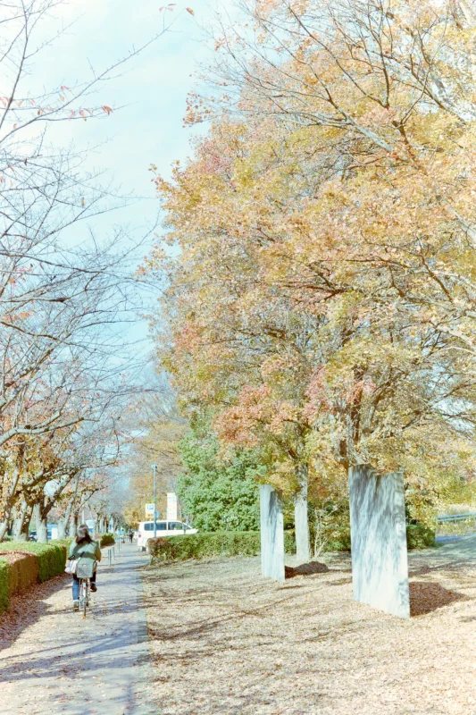武蔵野の森公園と野川公園で秋を楽しんできました