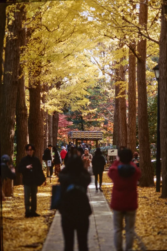 秋の荻窪三庭園、まずは大田黒公園から行ってみようか！