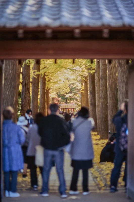 秋の荻窪三庭園、まずは大田黒公園から行ってみようか！