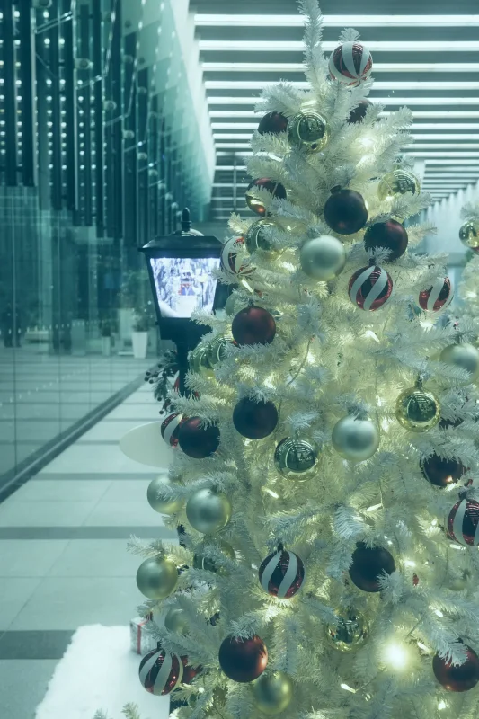 クリスマス前の東京・丸の内をスナップしてきたよ