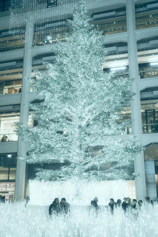 クリスマス前の東京・丸の内をスナップしてきたよ