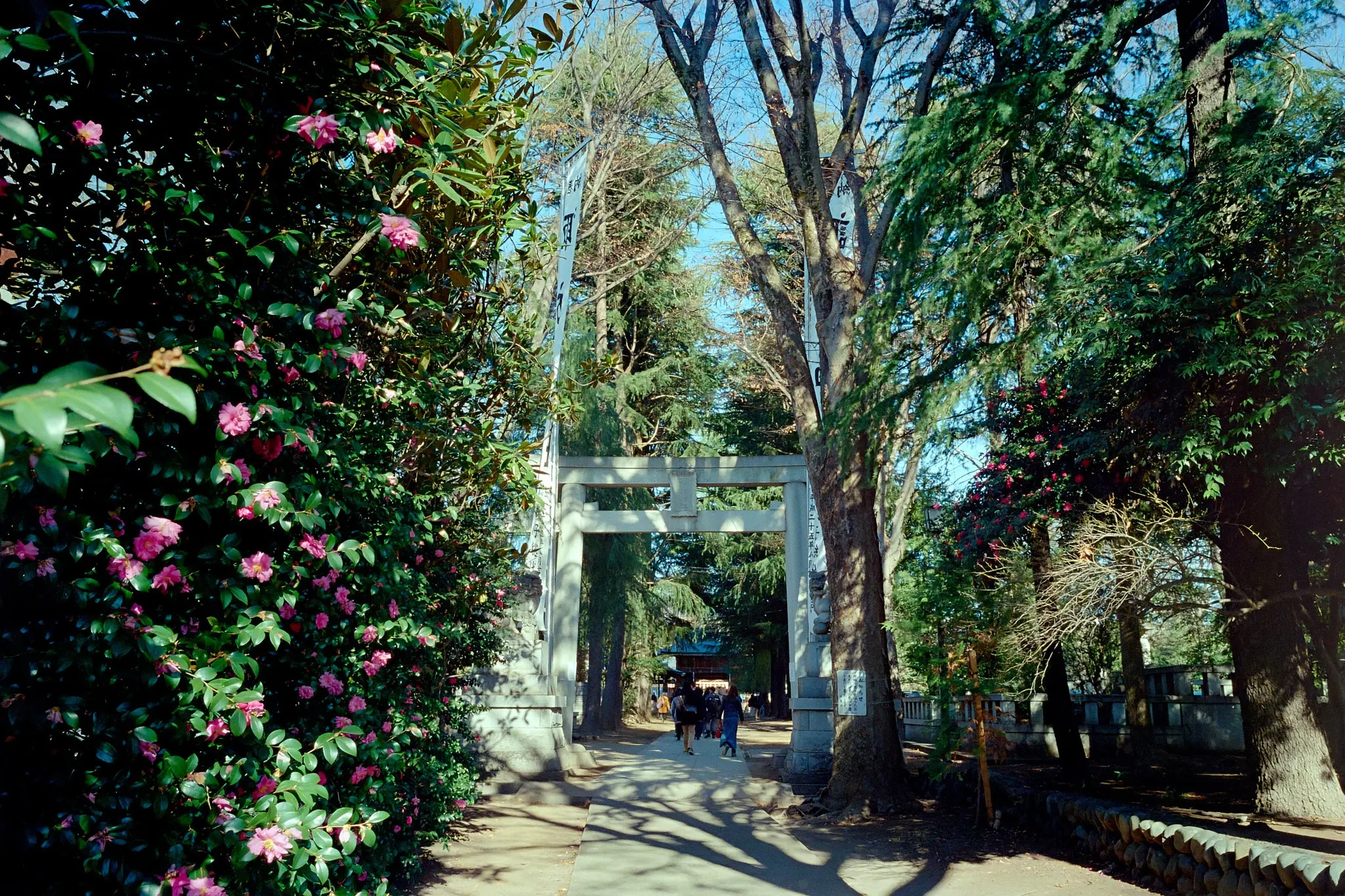 おでんやてます