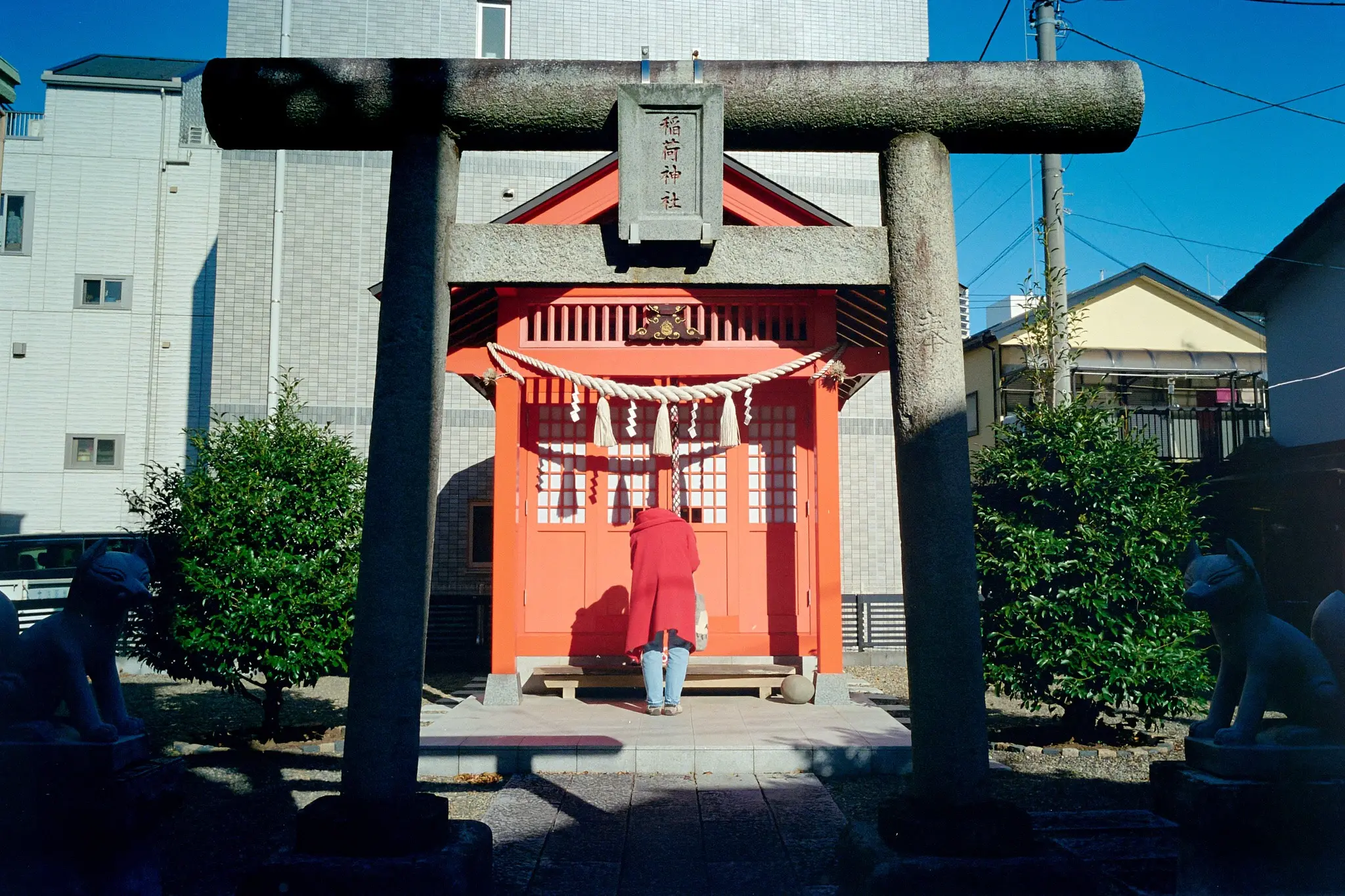 おでんやてます