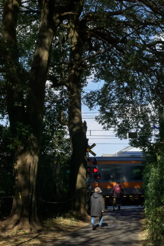 鉄分補給でレンズの不具合？を見つけてしまう