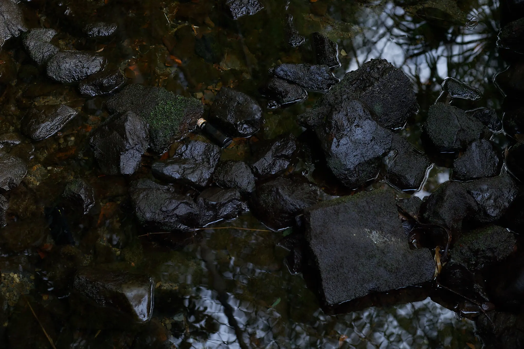 リベンジしたはずが、返り討ち