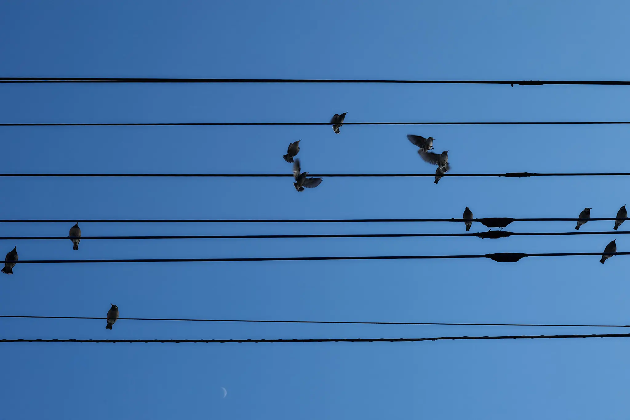 リベンジしたはずが、返り討ち