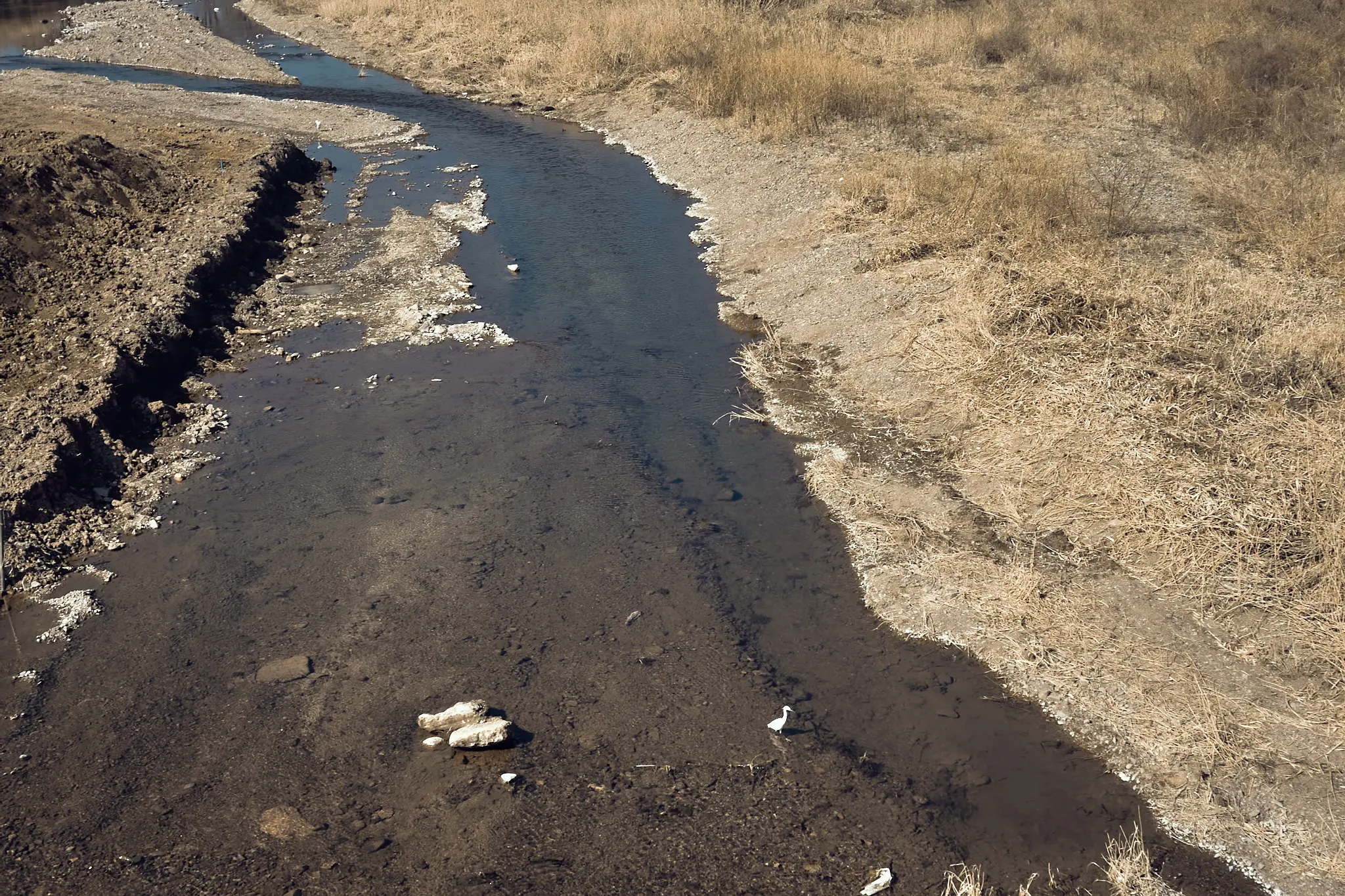 八王子の裏道をスナップして、行き着く先はやっぱりあそこ!