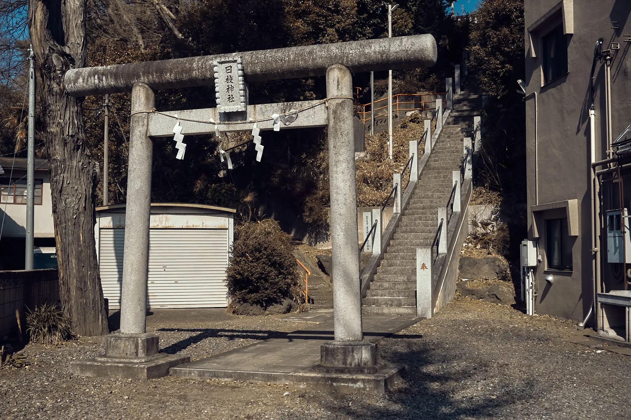 ずっと気になっていた長い階段を上った先にあったのは?