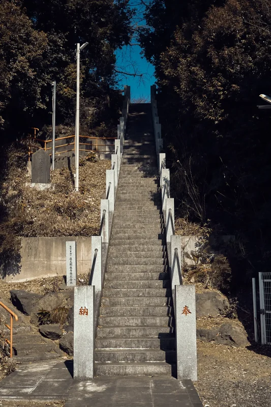 ずっと気になっていた長い階段を上った先にあったのは?