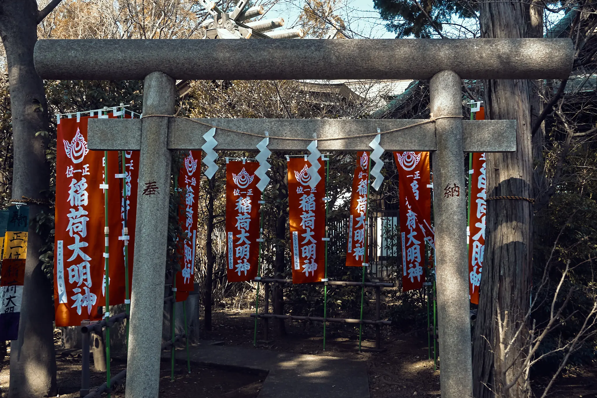 ずっと気になっていた長い階段を上った先にあったのは?