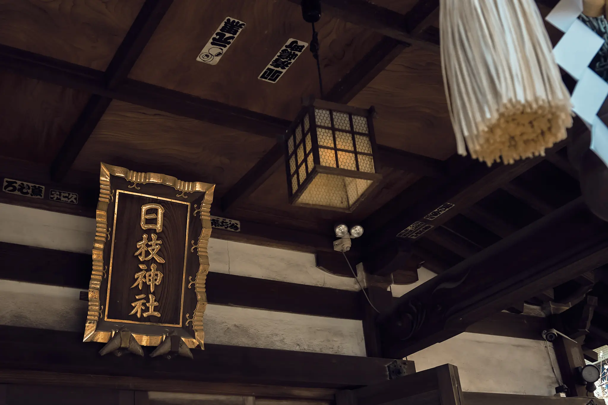 ずっと気になっていた長い階段を上った先にあったのは?