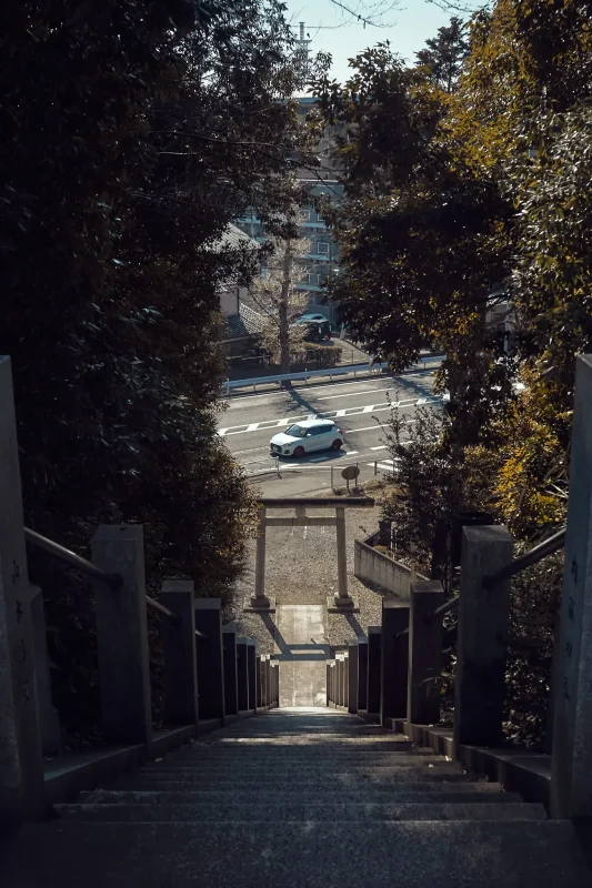 ずっと気になっていた長い階段を上った先にあったのは?