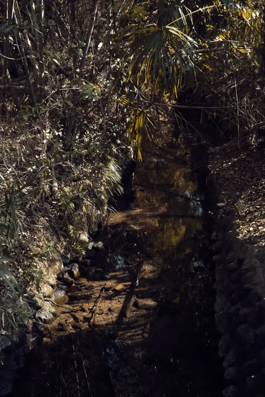 いつもの場所は、最近お気に入りの撮影ポイント