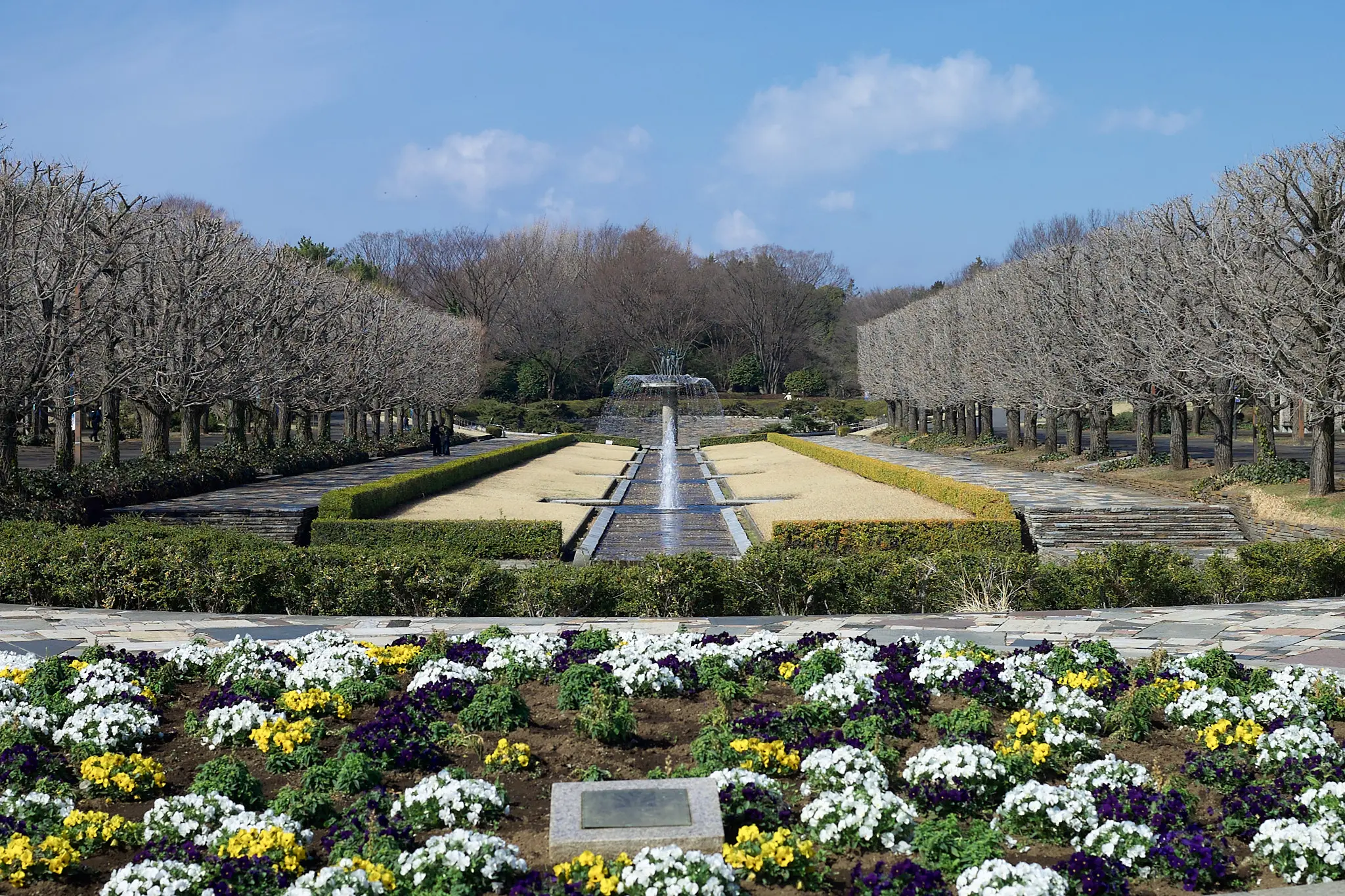 Canon EOS-1D + Canon EF50mm F1.8 STM