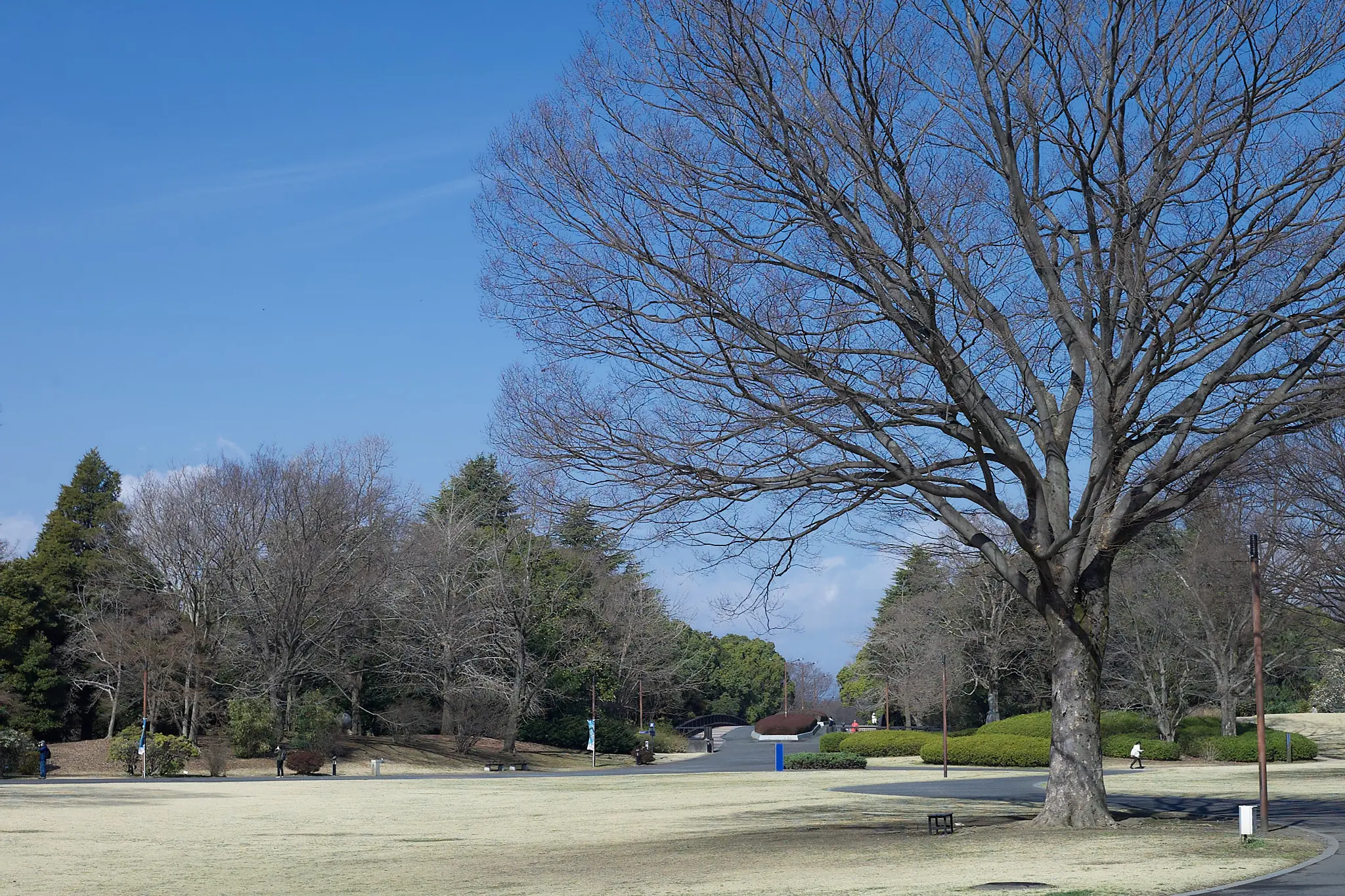 Canon EOS-1D + Canon EF50mm F1.8 STM