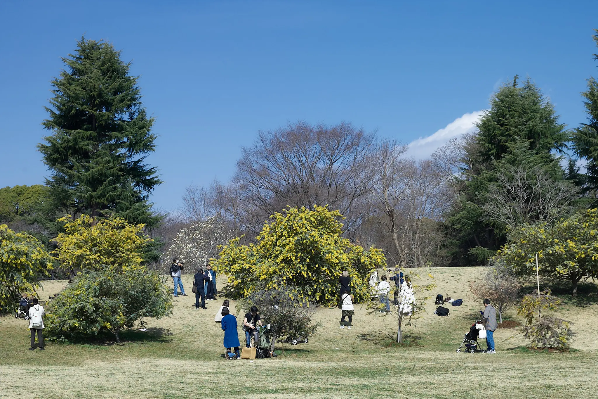 Canon EOS-1D + Canon EF50mm F1.8 STM
