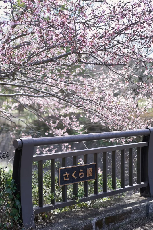 Canon EOS-1D + Canon EF50mm F1.8 STM