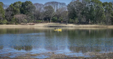 暖かいのに暇そうなボート乗り場