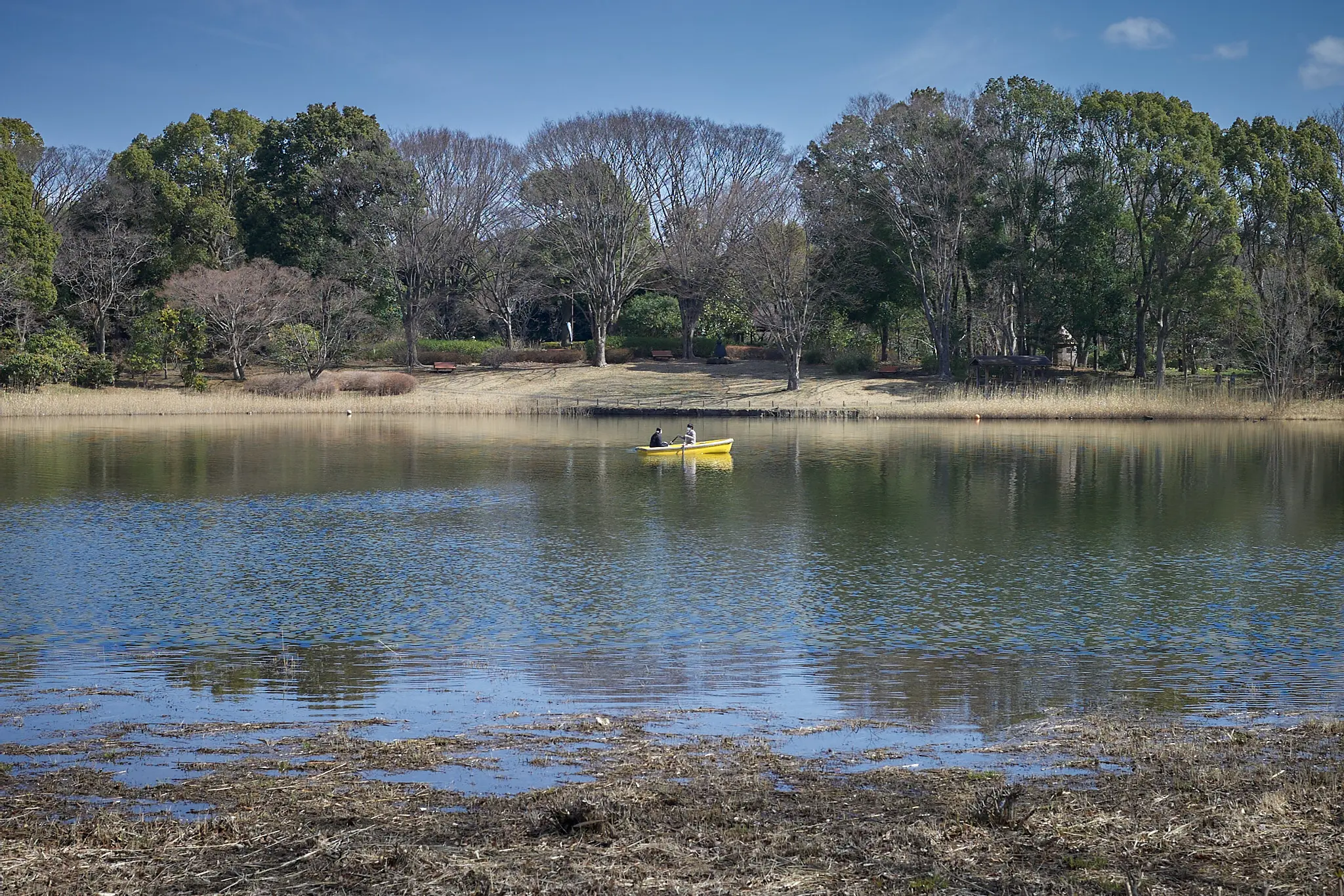暖かいのに暇そうなボート乗り場