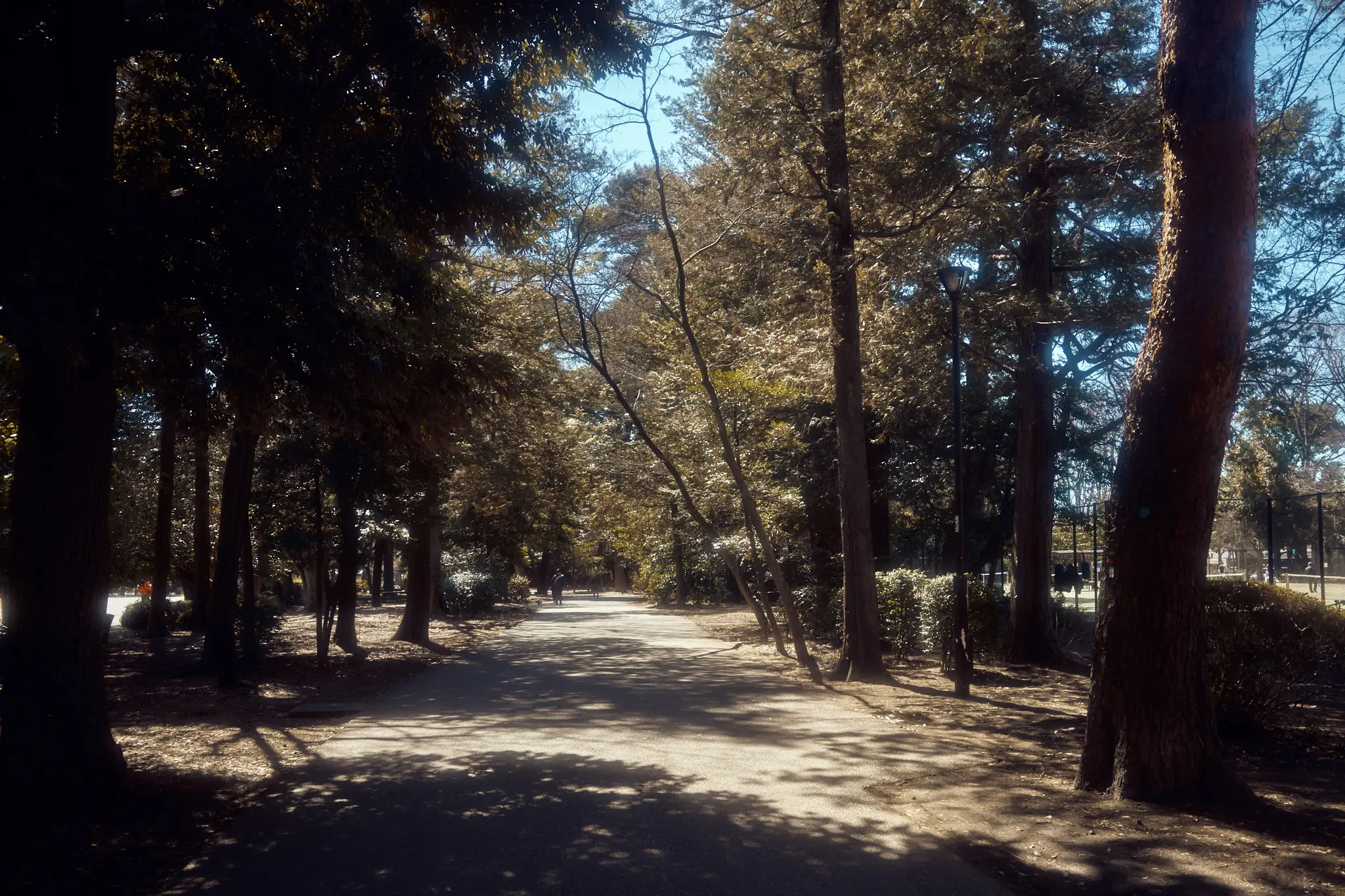 Leica M11 + TTArtisan 28mm f/5.6