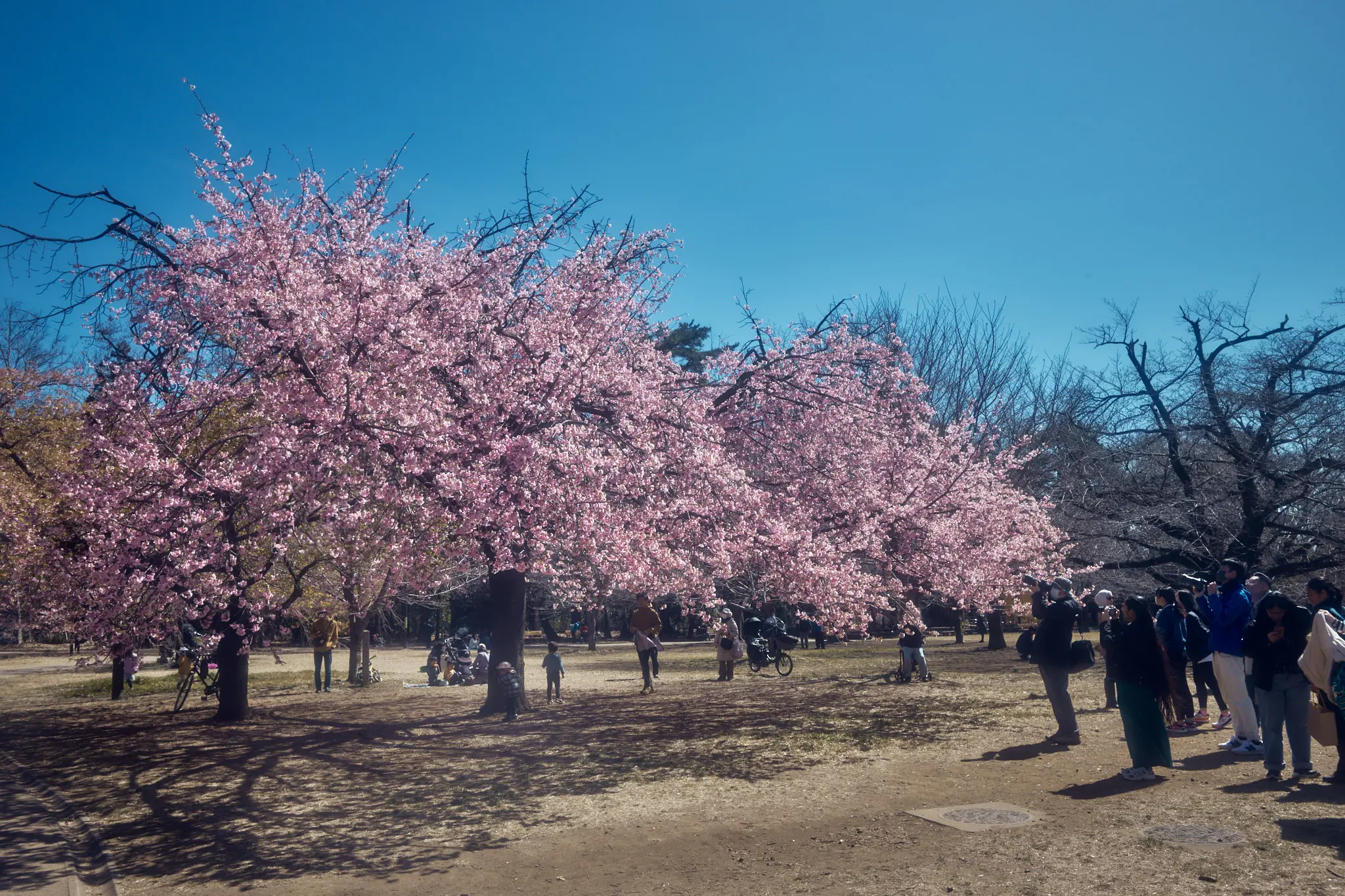 Leica M11 + TTArtisan 28mm f/5.6