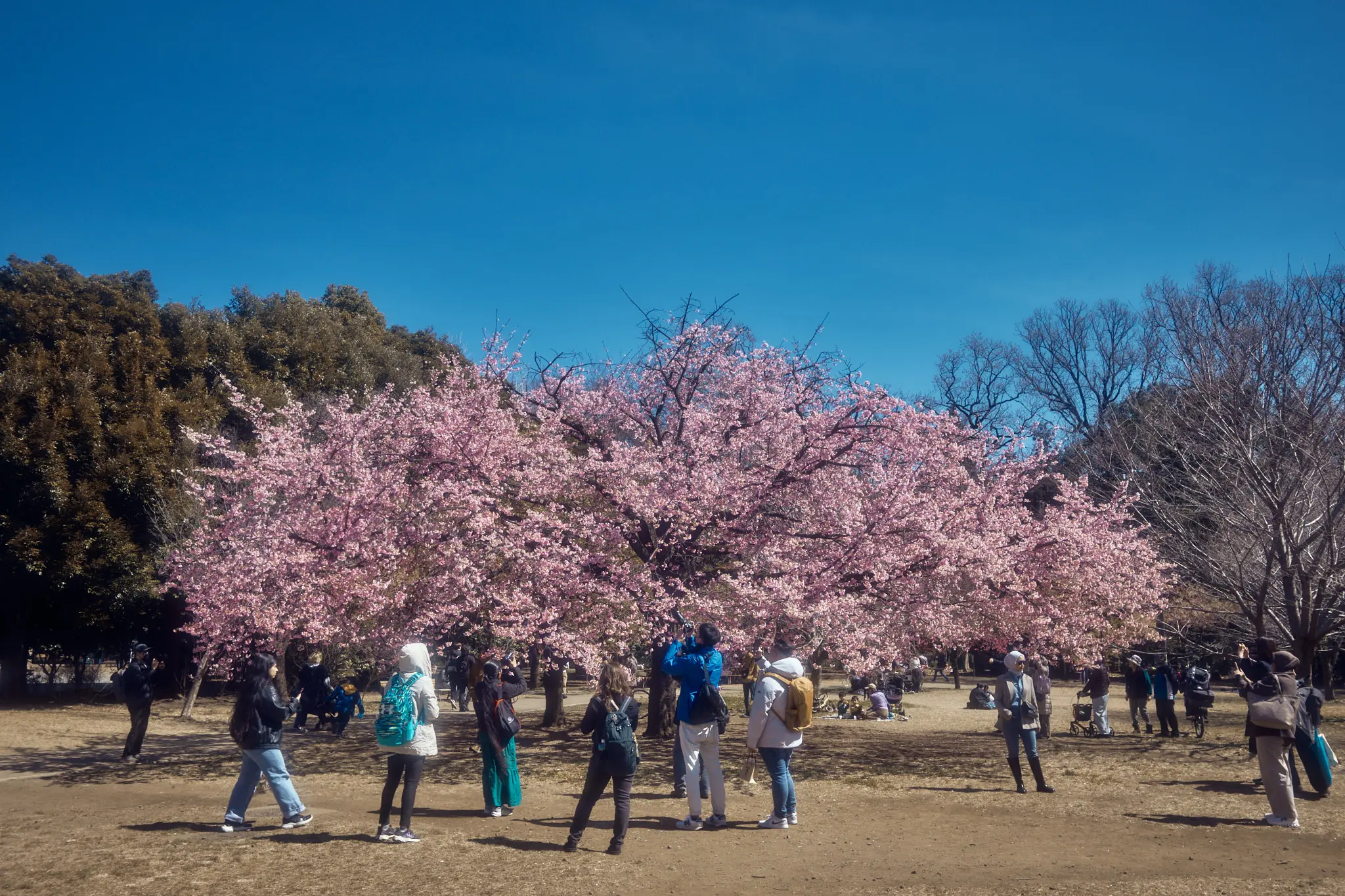 Leica M11 + TTArtisan 28mm f/5.6