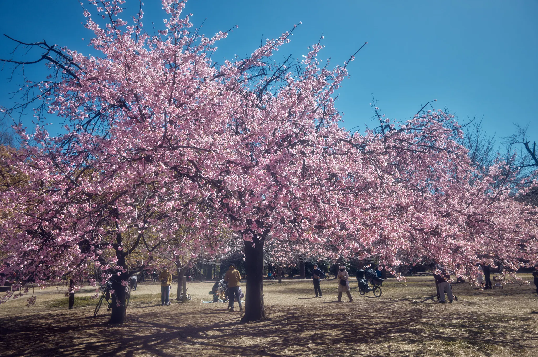 Leica M11 + TTArtisan 28mm f/5.6