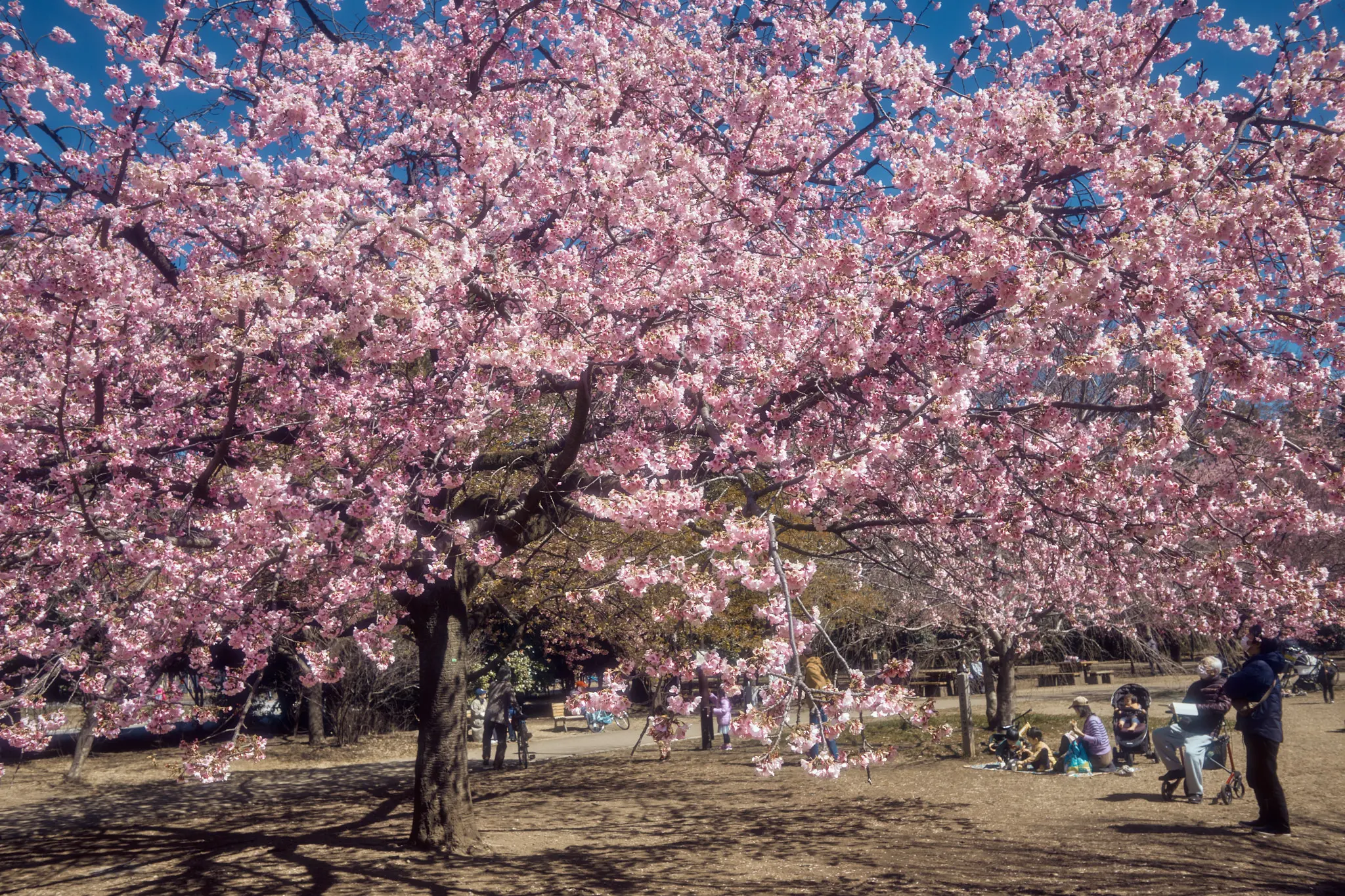 Leica M11 + TTArtisan 28mm f/5.6