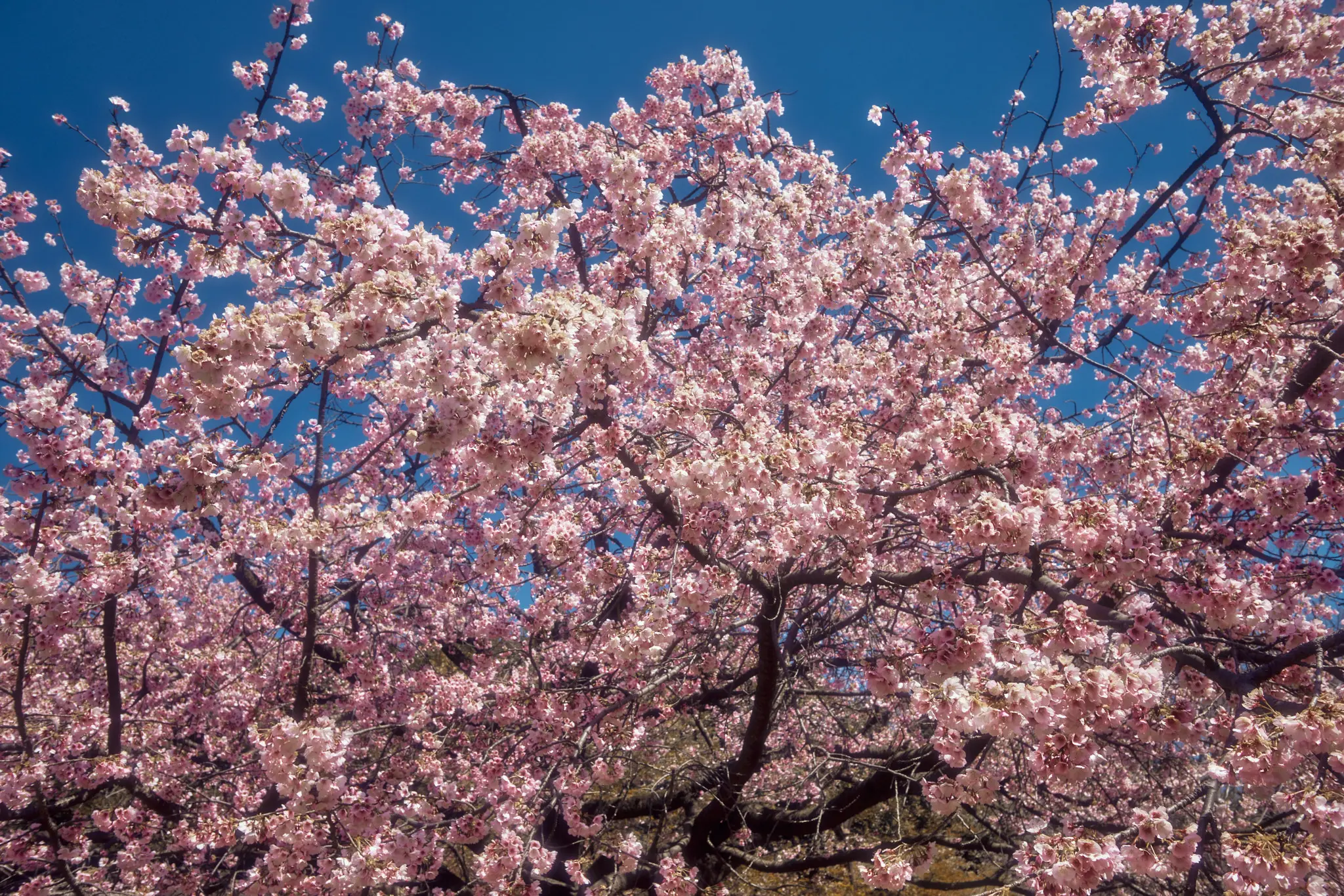 Leica M11 + TTArtisan 28mm f/5.6