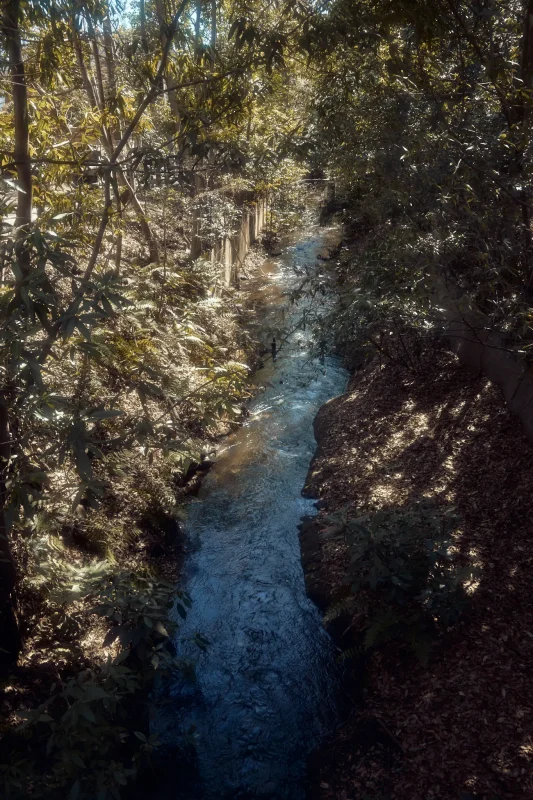 Leica M11 + TTArtisan 28mm f/5.6