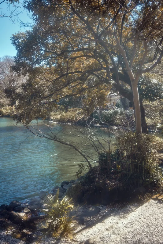 Leica M11 + TTArtisan 28mm f/5.6