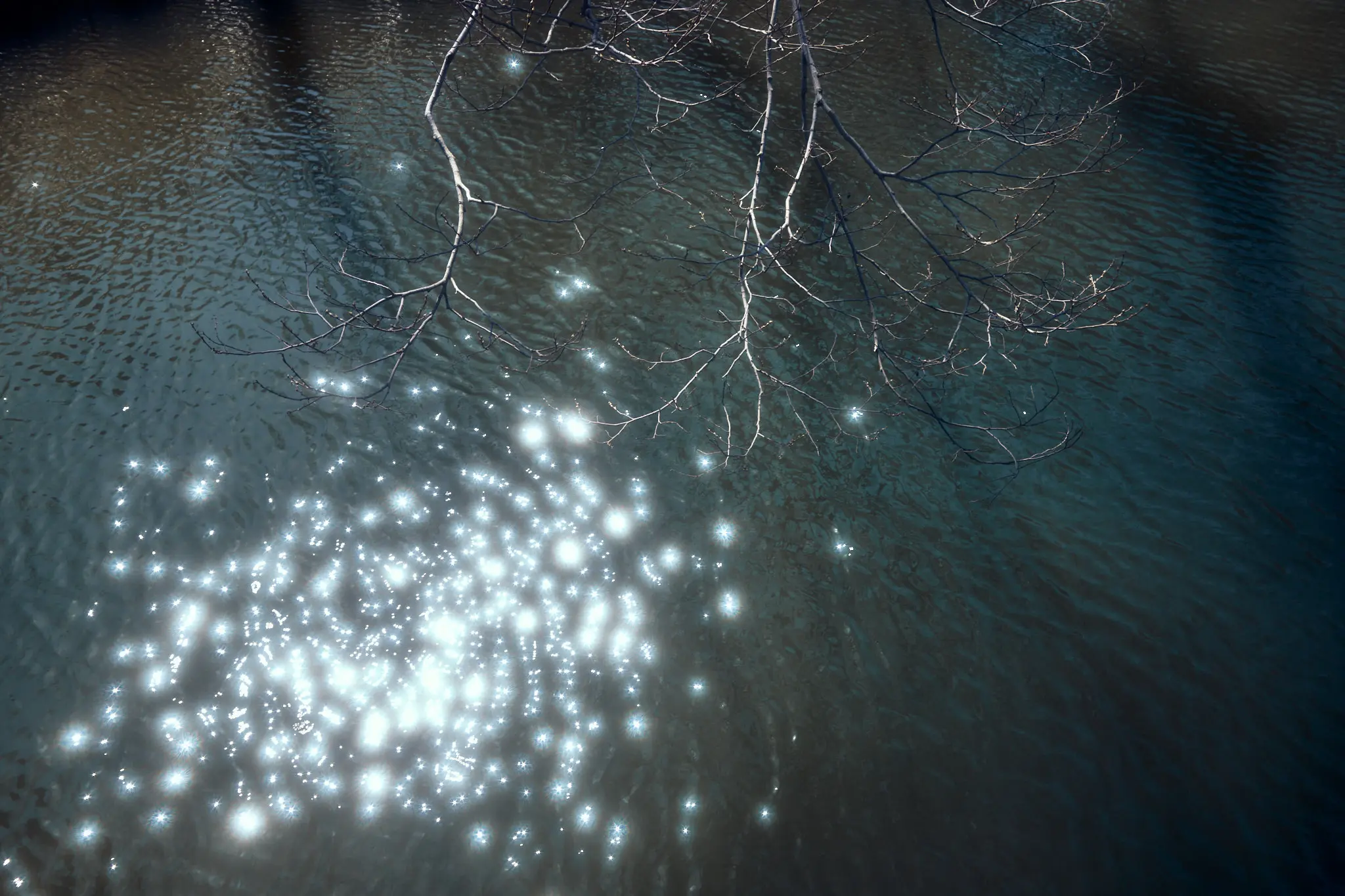 Leica M11 + TTArtisan 28mm f/5.6