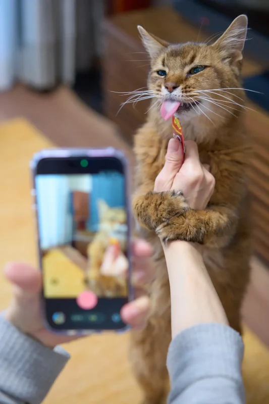 SONY α1 + SONY Sonnar T* FE 55mm F1.8 ZA