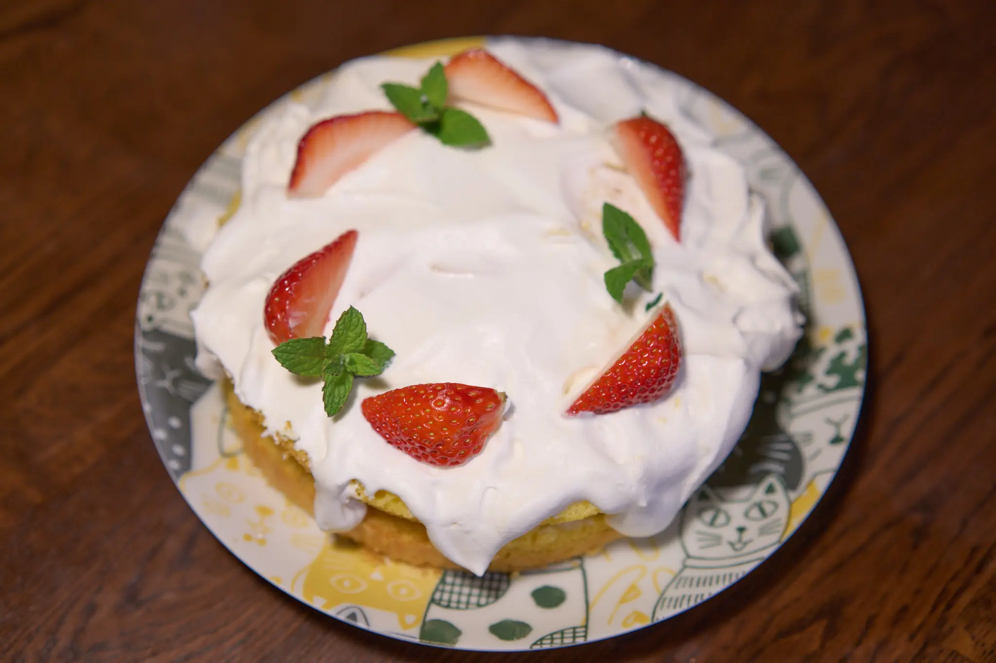 SONY α1 + SONY Sonnar T* FE 55mm F1.8 ZA