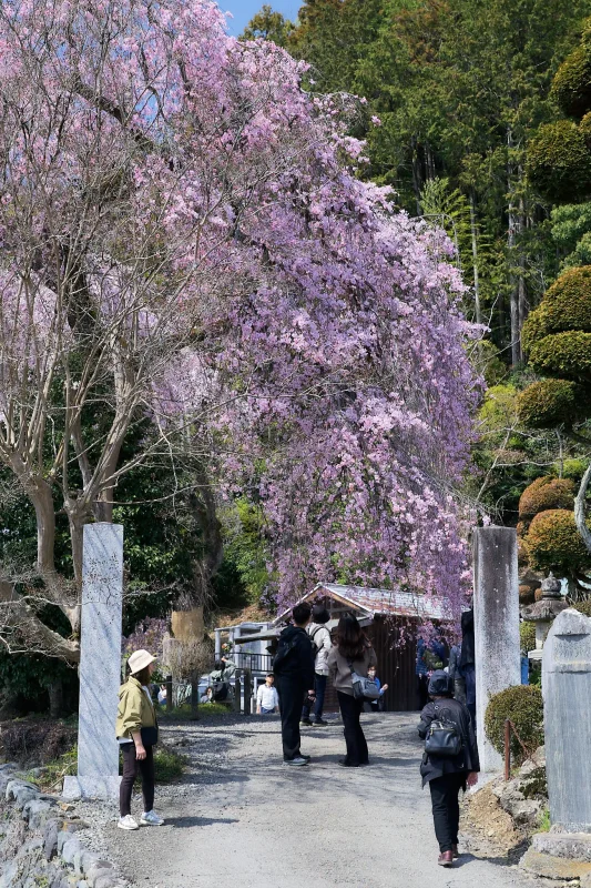 Canon EOS-1D + Canon EF24-70mm F2.8L II USM